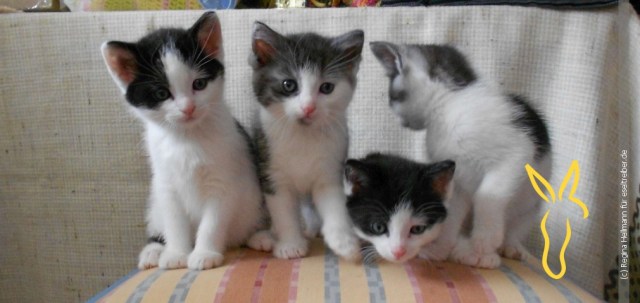 DSCN3598-K500_1011px