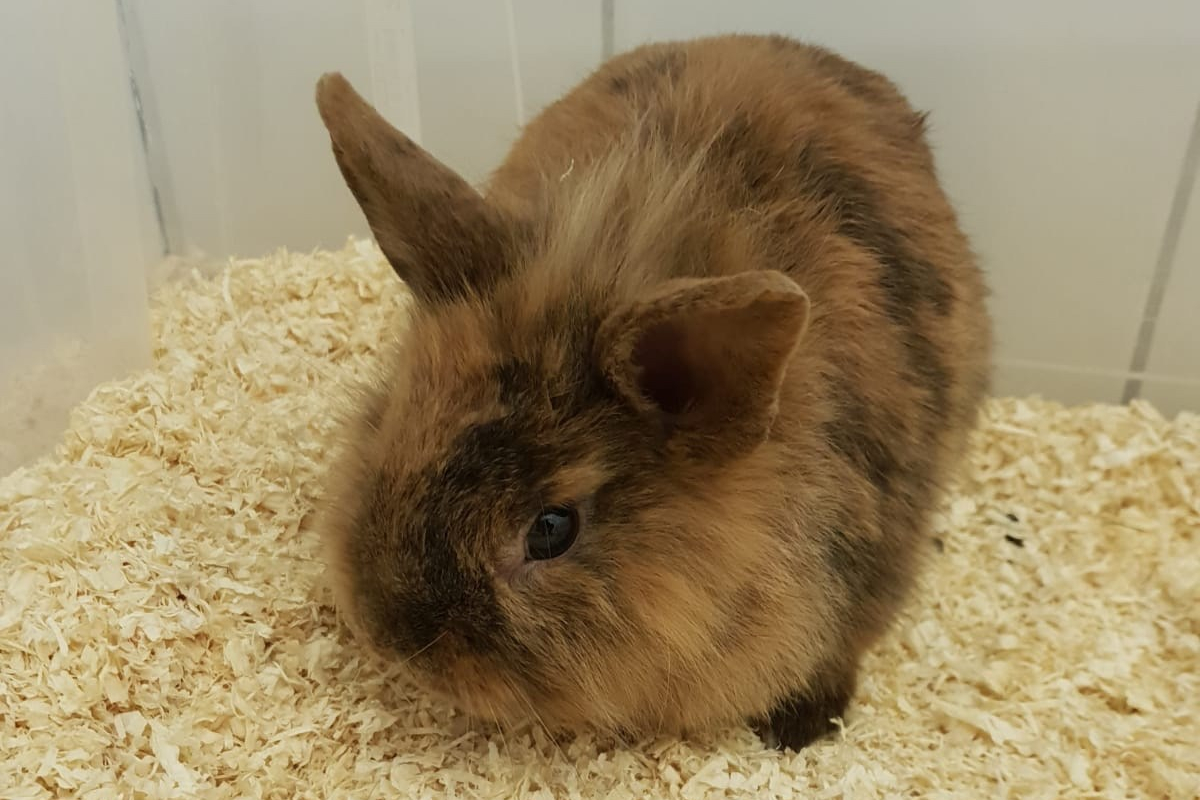 11da7efb-60f3-43d6-a6bb-8e639bdfa7df