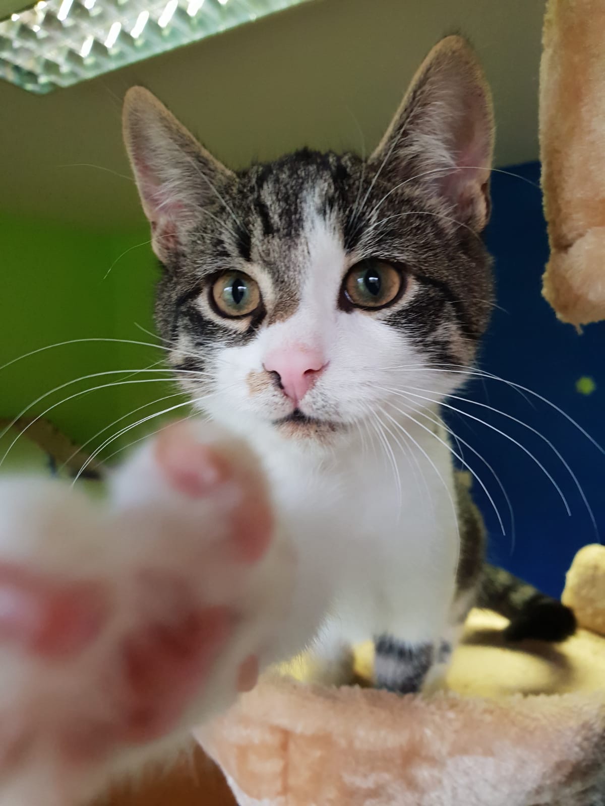 5a5f9b18-5555-4e7f-b447-5c4519176ad9