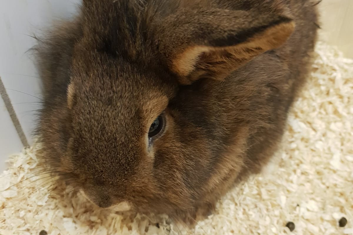 78688be7-0d42-4107-bfc8-f89cea3f547b