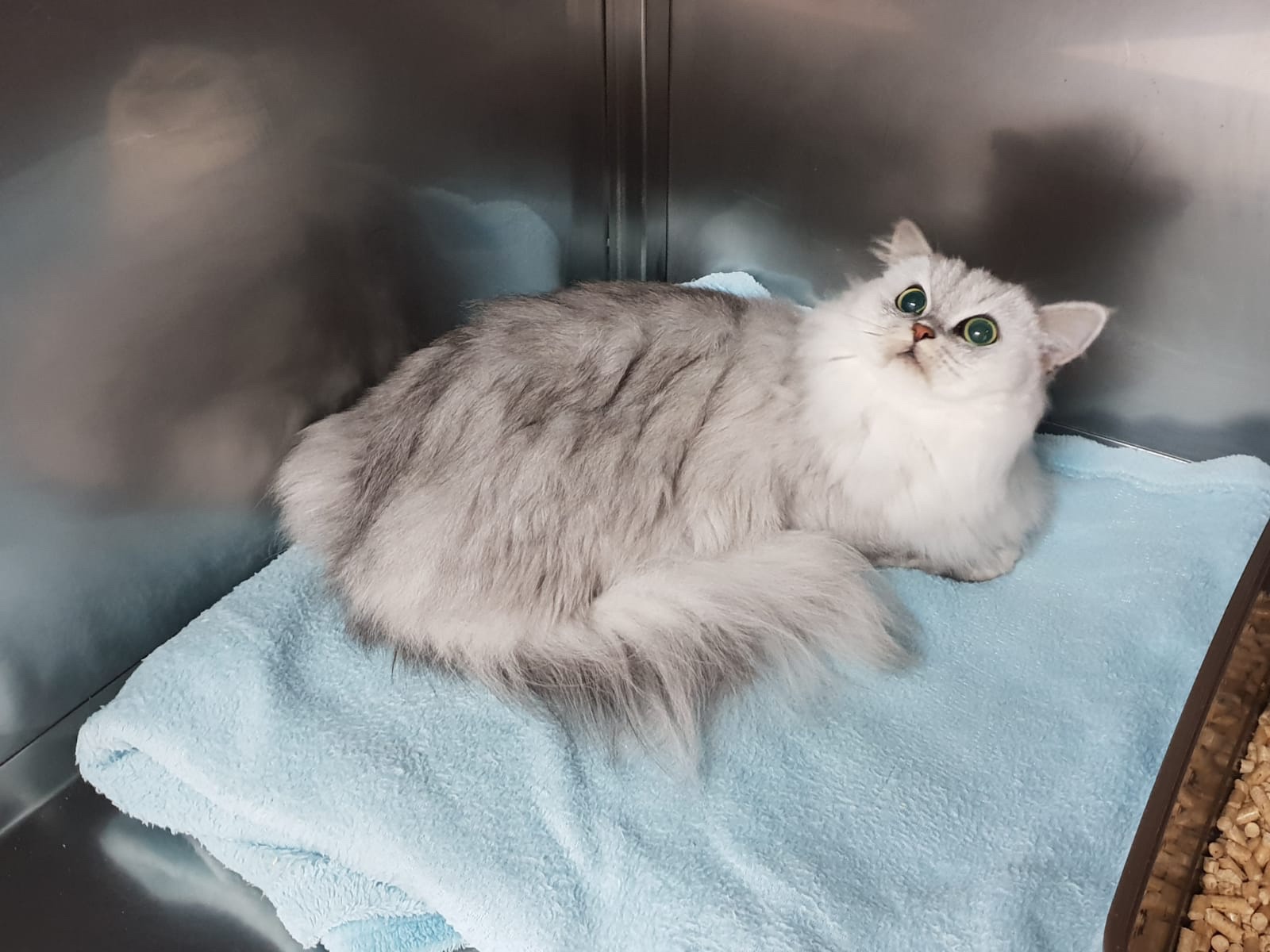 14135021-db4b-473b-9ff2-ba5a290df428