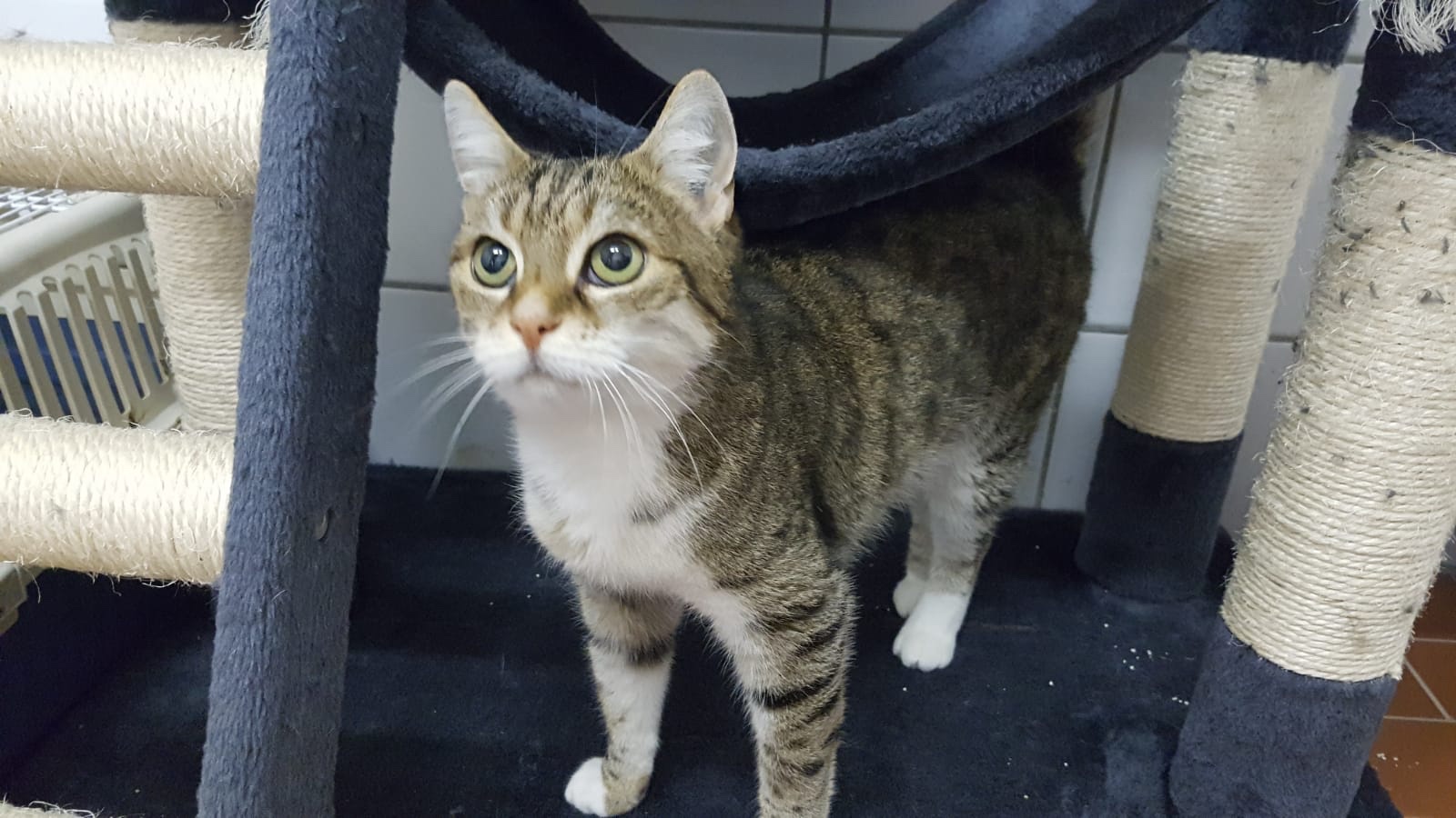 341053ae-3003-4768-989b-c069d49aeddc