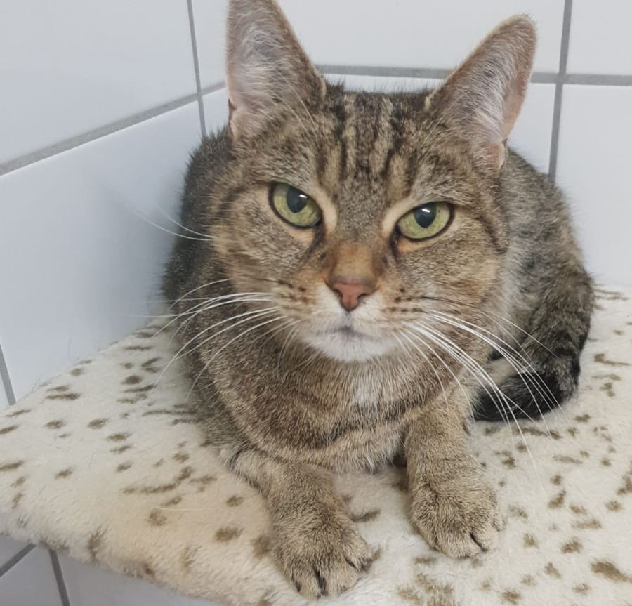 4c73dd8a-d532-4b94-825e-96793135be5c