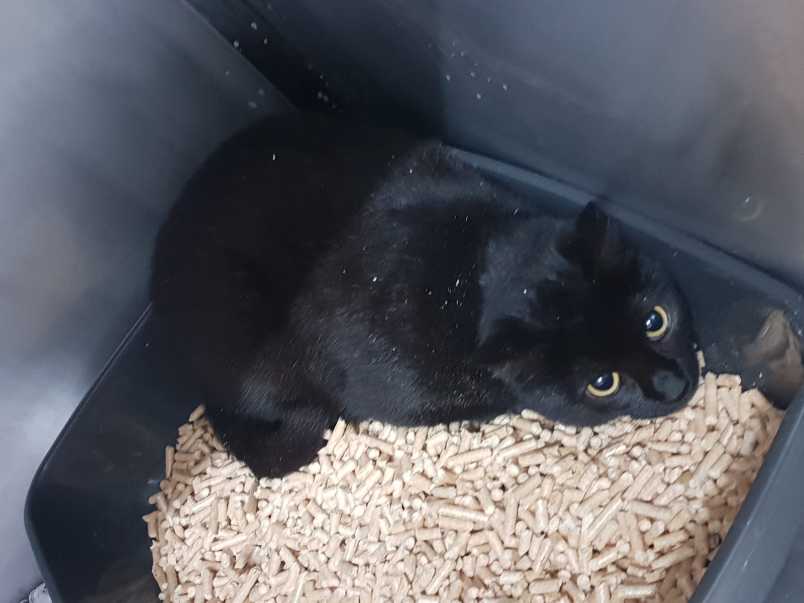 5b7b7f12-bc4f-43f5-a411-437b4a380279