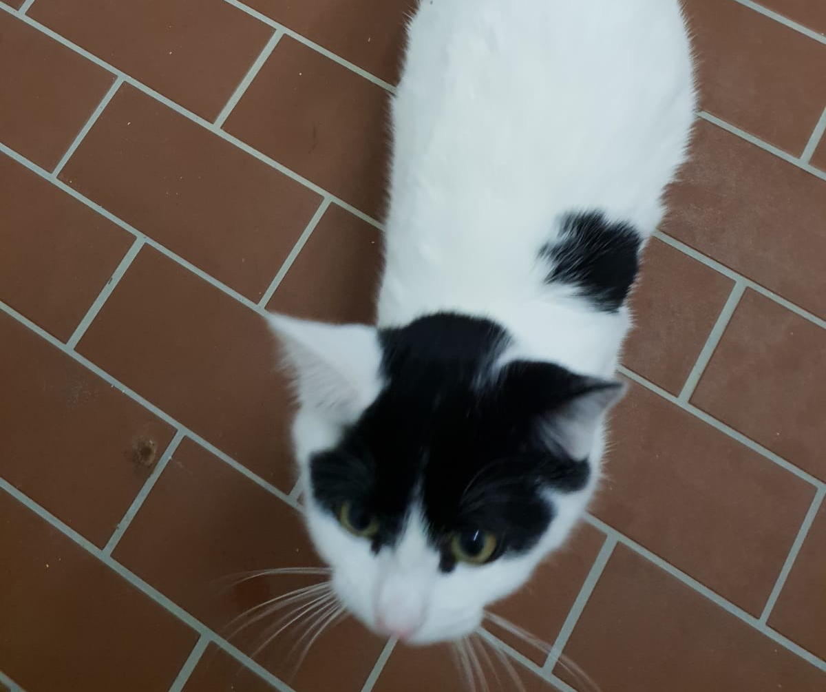 9bac7dbe-02bd-4707-816c-6a25cd3883a2