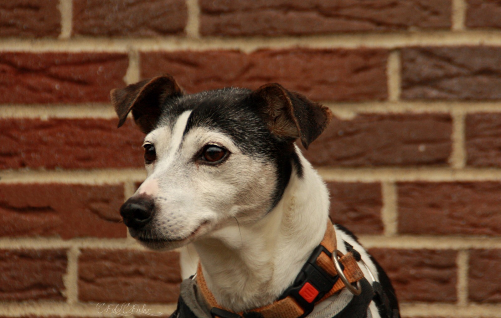 78c8e96a-2356-4292-a2e7-33ae84646076