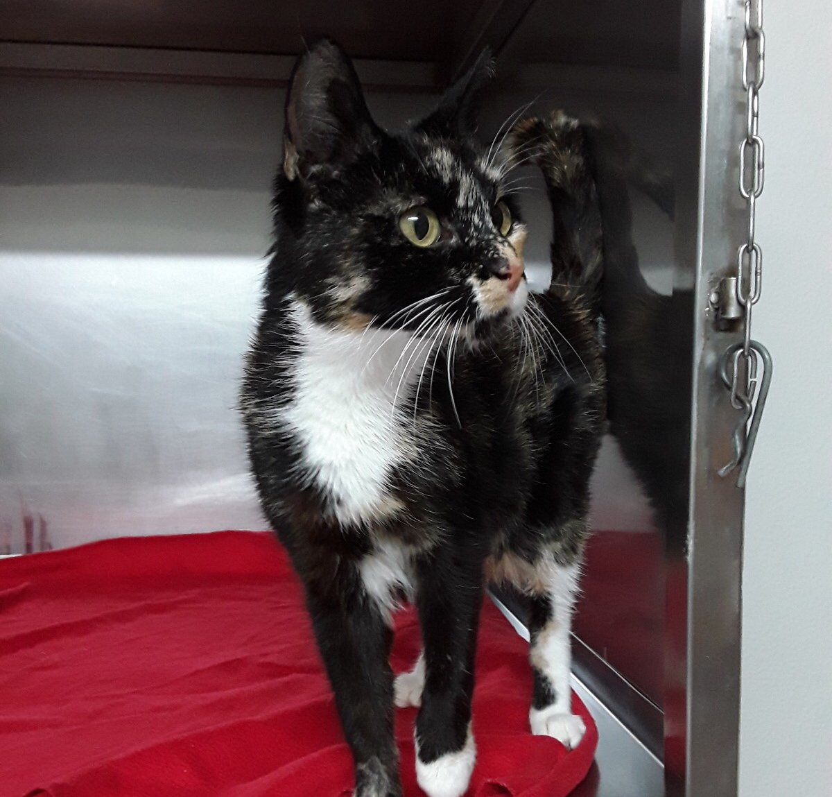 2928a725-244c-4bac-b855-7af360d0d829