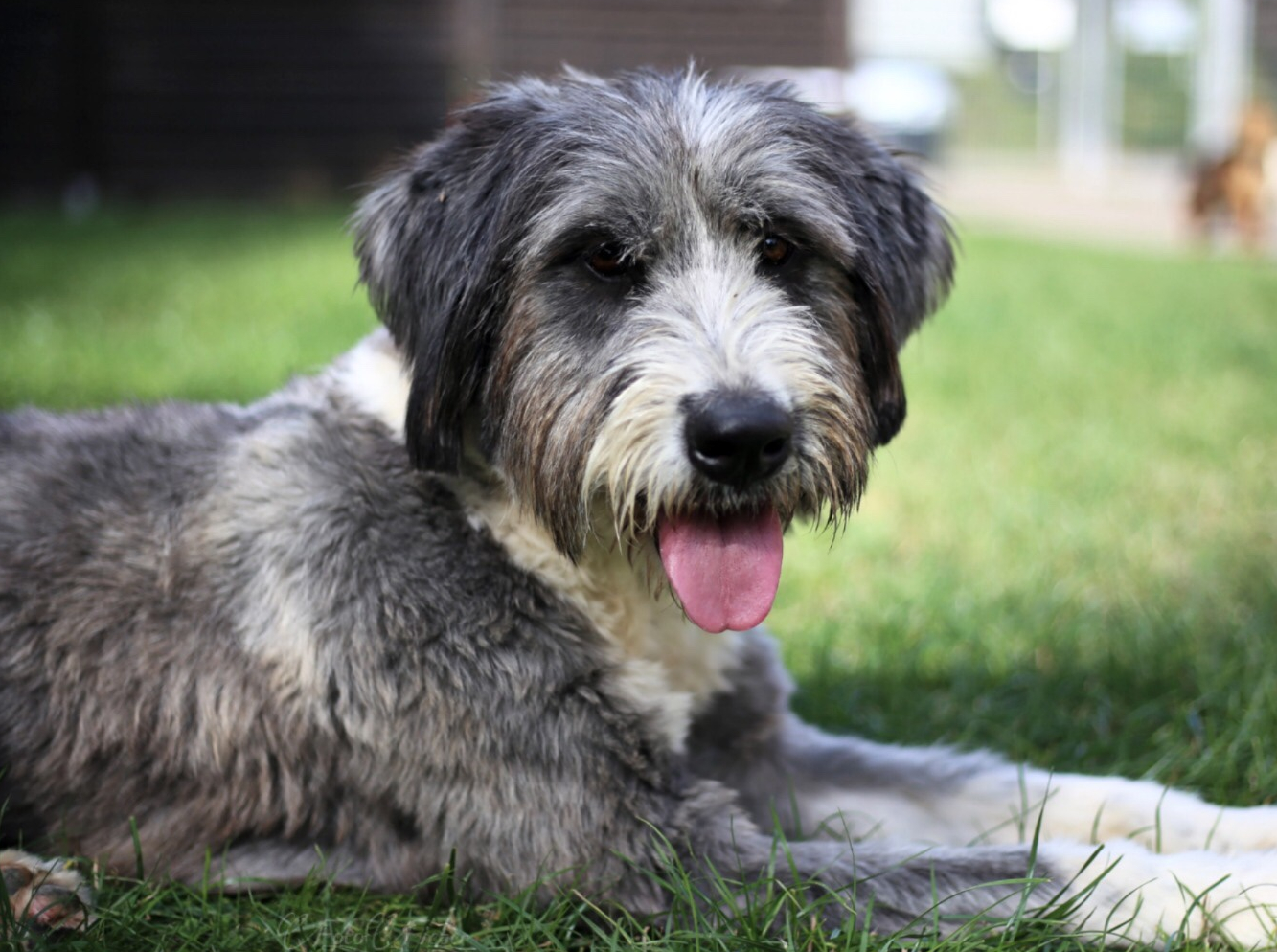 3b6e67b8-4611-4ee9-884a-490af0d84b9e