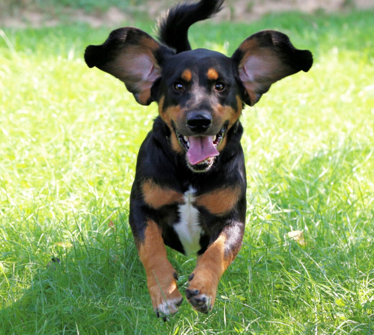 e2206057-26fe-4f8f-a857-e906e0eb5b63