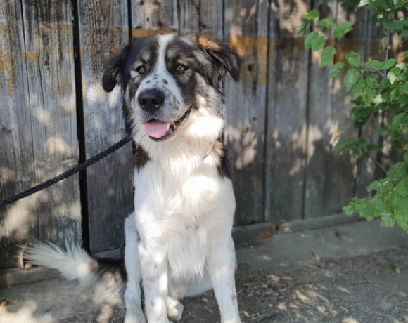 70985039_2595827140482471_5737850984881717248_n-580x460