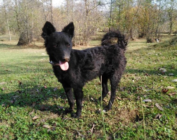 75398157_595588674582714_351825815169662976_n-580x460